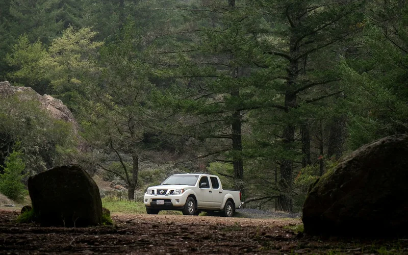 Pickup truck on a forest road