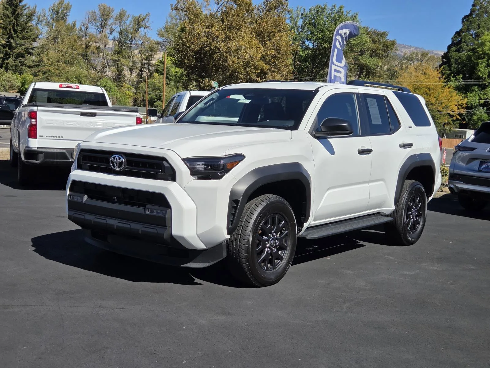 2025 Toyota 4Runner SR5 in Ice